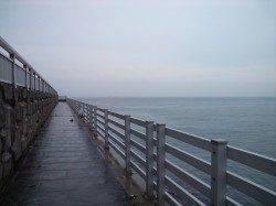 新浜漁港でちょい投げ、キスの釣果