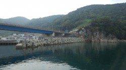 戸津井・小引漁港の朝マズメ狙い　ジグヘッドリグでカマス〜25cm20匹