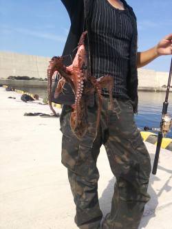 箱石　サーフのヒラメ・マゴチ狙いからタコに…