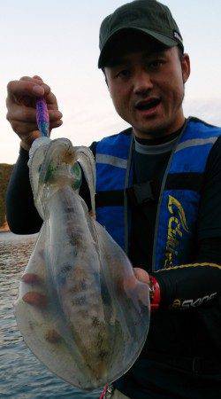 衣奈漁港　エギングでアオリイカ狙いは3・4投目のボトムでHIT！