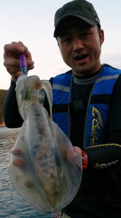 衣奈漁港　エギングでアオリイカ狙いは3・4…