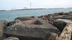 南塩谷　夕方の上げ潮にフカセでチヌ39cm＆バリコ