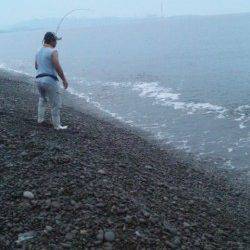 煙樹ヶ浜でショアジギング　見事シイラGET！