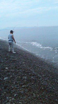 煙樹ヶ浜でショアジギング　見事シイラGET！