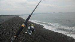 煙樹ヶ浜　朝のショアジギングでカンパチ31cmがヒット