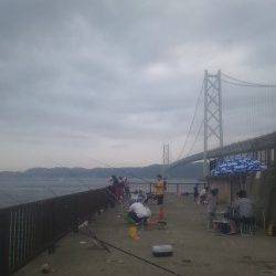 アジュール舞子　サビキ＆サヨリ釣りは快釣☆　大サバは場所もあり顔見れず