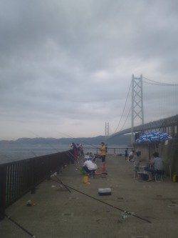 アジュール舞子　サビキ＆サヨリ釣りは快釣☆　大サバは場所もあり顔見れず