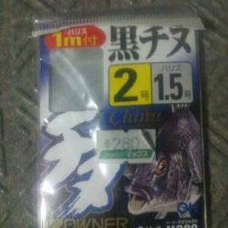 淀川河口 流し釣り&ブッコミ釣りで、キビレ&ウナギ狙い釣行