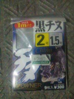 淀川河口 流し釣り&ブッコミ釣りで、キビレ&ウナギ狙い釣行