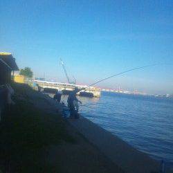 舞洲　夕方のタコ釣りでタコ3バイ　初めての方にもオススメ☆