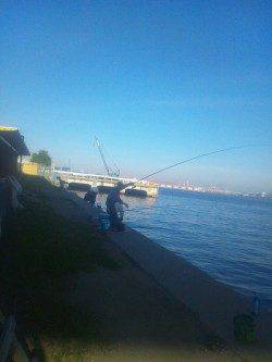 舞洲　夕方のタコ釣りでタコ3バイ　初めての方にもオススメ☆