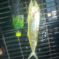 シモツピアーランドでかご釣り＆浮き釣りの釣果