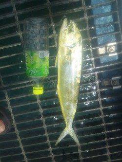 シモツピアーランドでかご釣り＆浮き釣りの釣果