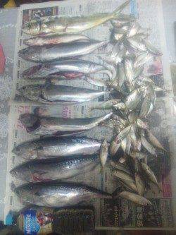 シモツピアーランドでかご釣り＆浮き釣りの釣果