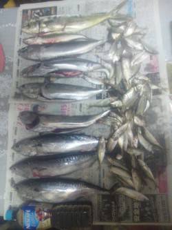 シモツピアーランドでかご釣り＆浮き釣りの釣…