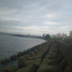 淀川河口でカワアナゴの釣果