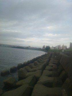 淀川河口でカワアナゴの釣果