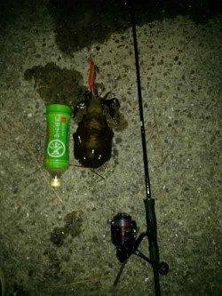 堺・一本松漁港　エギングでアオリイカ2ハイも型は残念