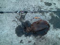 衣奈漁港でエギング、アオリイカのキロアップ…