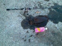 衣奈漁港でエギング、アオリイカのキロアップ↑