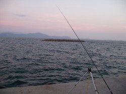 田ノ浦漁港で25cmまでのアジ6匹の釣果