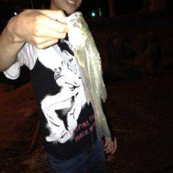 犬見～本郷　夜のウキ釣りでシーバス2匹！