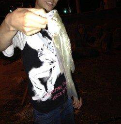 犬見～本郷　夜のウキ釣りでシーバス2匹！