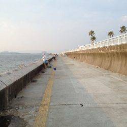 和歌山マリーナシティ　カゴ釣り＆ウキ釣りでサヨリ・アジの釣果