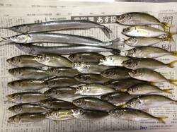 和歌山マリーナシティ　カゴ釣り＆ウキ釣りで…