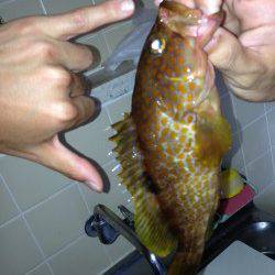 三松堤防からのちょい投げでの釣果