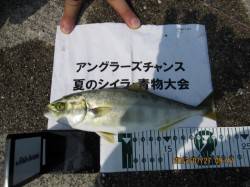 ポーアイ沖堤防　ルアーでツバス＆マダイ　タ…