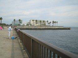 アジュール舞子 ウキ釣りでサヨリ・小アジ・小サバ☆