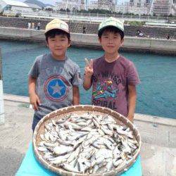 マリーナシティ海釣り公園　サビキのアジ超大漁！