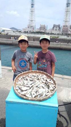 マリーナシティ海釣り公園　サビキのアジ超大…