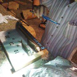 洲本　アジングでアジ狙いもメバル15cm　同行者はアジ2匹