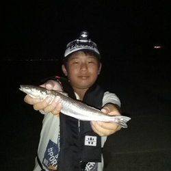 炬口 親子3人のロング釣行 投げ釣りでキス〜28cm146匹!