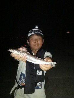 炬口 親子3人のロング釣行 投げ釣りでキス〜28cm146匹!