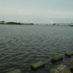 淀川河口、ぶっ込み釣りでキビレ狙いも・・・