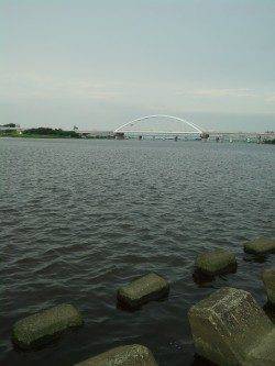 淀川河口、ぶっ込み釣りでキビレ狙いも・・・