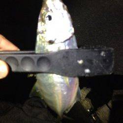 田辺・戎漁港　アジングでアジ〜27cm6尾　満潮手前で当たりが集中