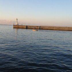 東二見人工島 サイトエギングでコウイカ1.5kg☆