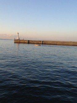 東二見人工島 サイトエギングでコウイカ1.5kg☆