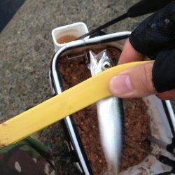 須磨でウルトラライトジギング!