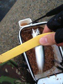 須磨でウルトラライトジギング!