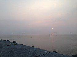 森一文字で引き釣り、アタリ多数でした！