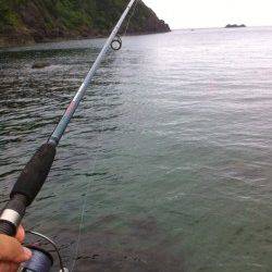 竹野港　投げ釣りでキス〜19cm4匹☆