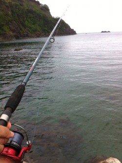 竹野港　投げ釣りでキス〜19cm4匹☆