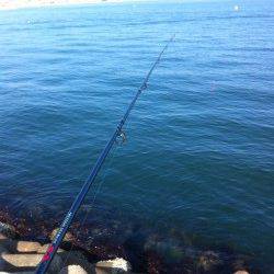 東二見人工島で穴釣り釣果