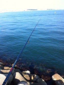 東二見人工島で穴釣り釣果