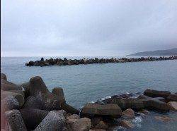 日置川河口　フカセでヒラセイゴ・チヌ・ヘダイの釣果♪